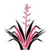 Toitu website (1).jpg
