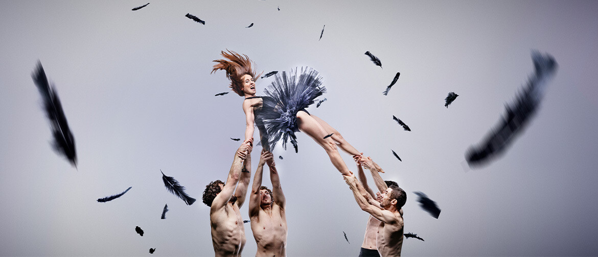 Duck Pond_Event Finda_1170 x 504.jpg