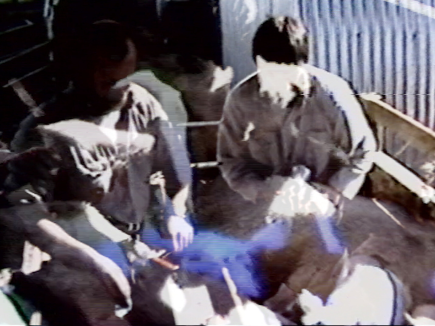 Frances Libeau, research image, 2025. Image courtesy of the artist.jpg