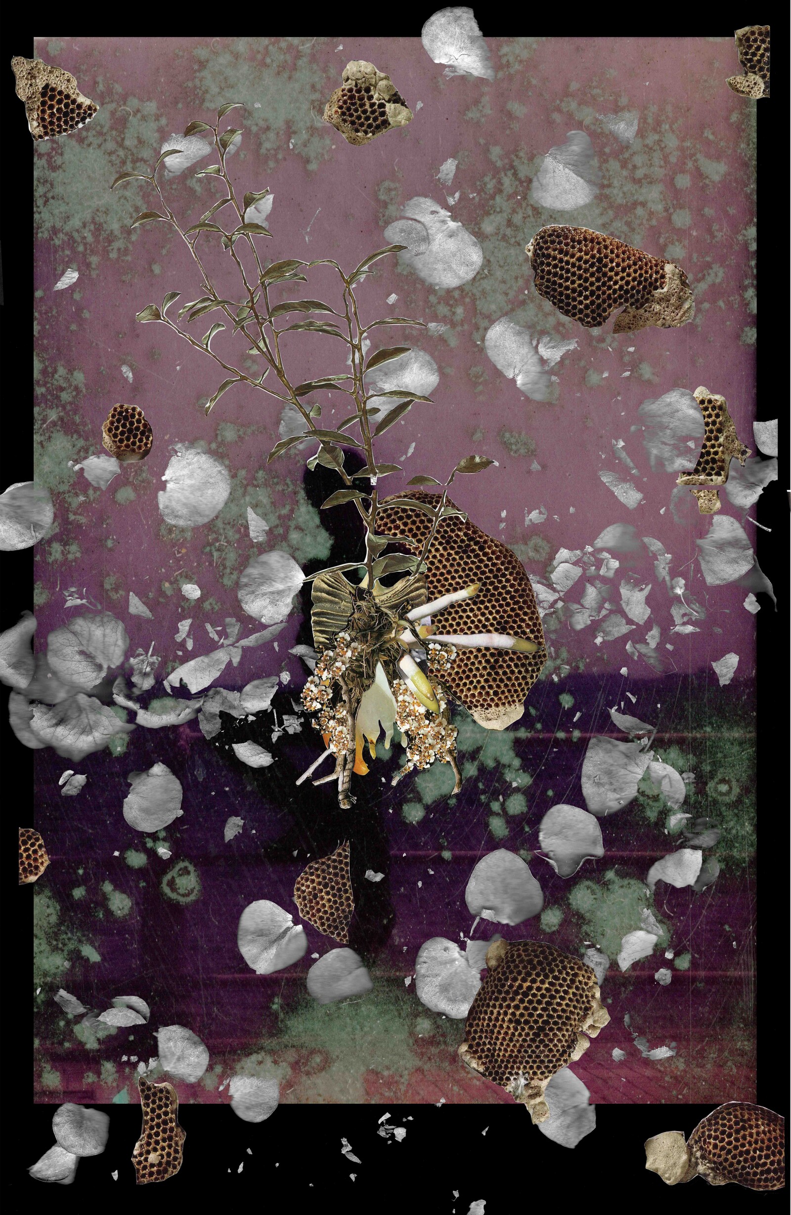 Iulia Boscu, Things to Look (Out) For, 2025. Image courtesy of the artist.jpg