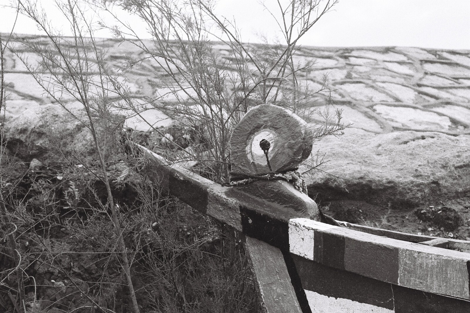 Mariam Tawfik, Al-Ahwar Waka. Image courtesy of the artist..JPG