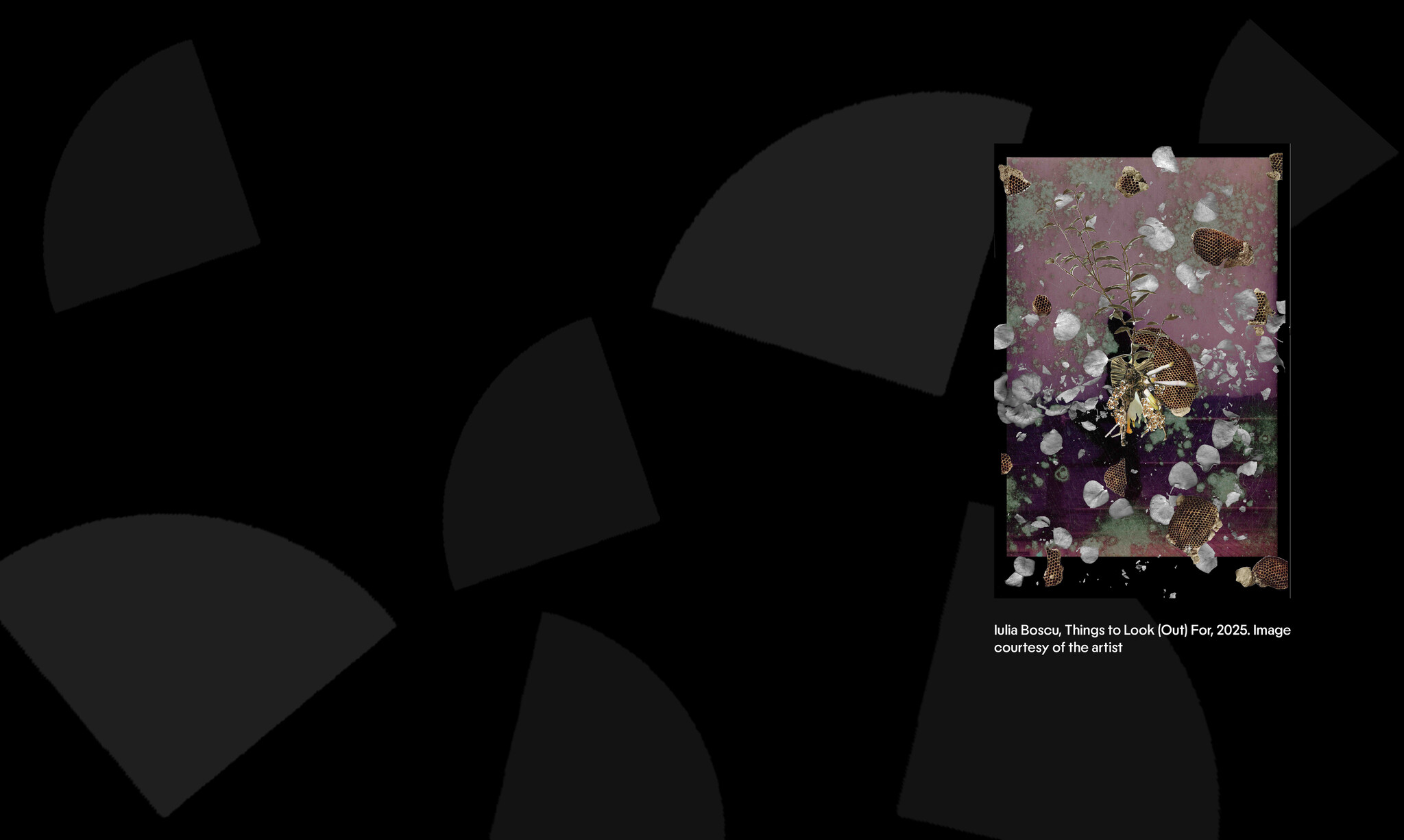 Te Tuhi: Exhibitions