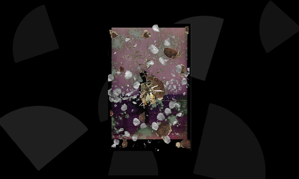 Te Tuhi: Exhibitions