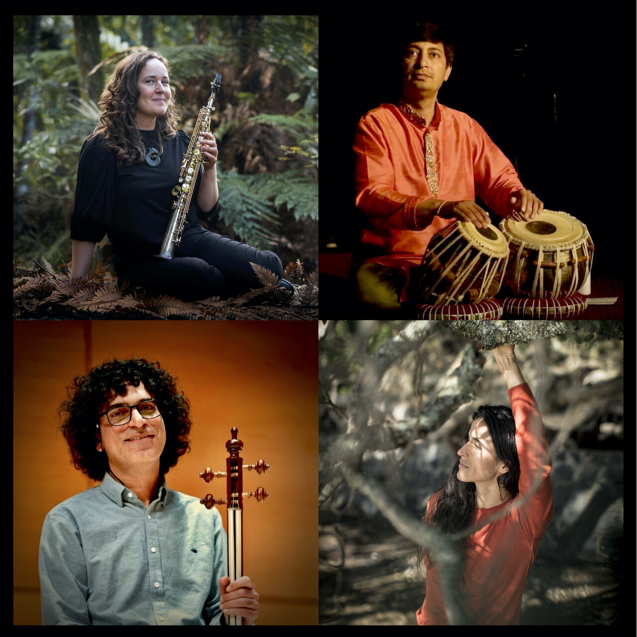 ZORA _ sq _ med.jpeg