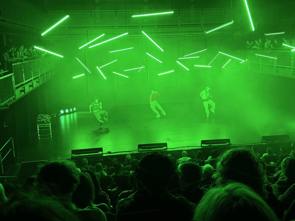 Young Critic's Review, The Butterfly Who Flew Into The Rave. "We should all be dancing more".