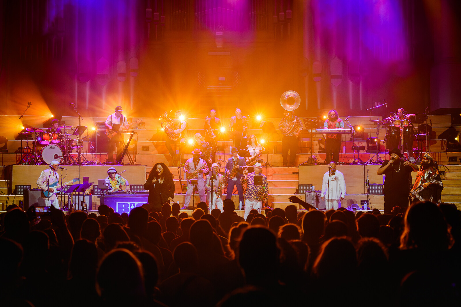 AAF 2026_BIG HORNS.jpg