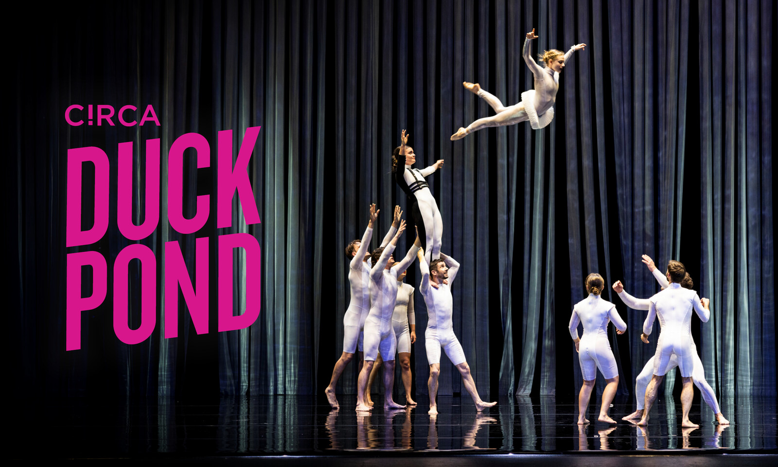 Netflix-style Thumbnail_Duck Pond.jpg